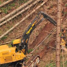 Tethered-assisted logging on a steep forested slope.